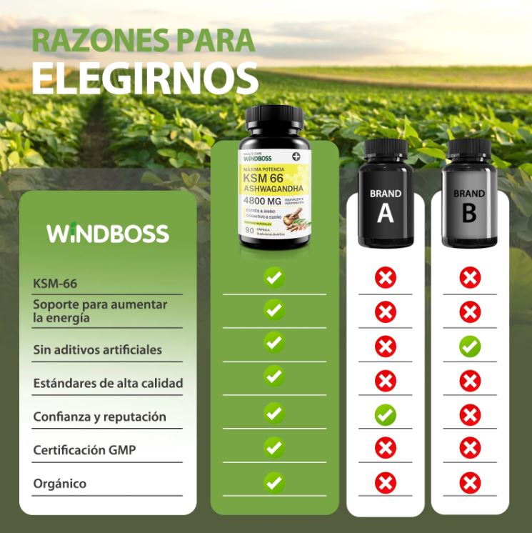 AshwaPower™:Duerme mejor, despierta con más vitalidad y foco cada día