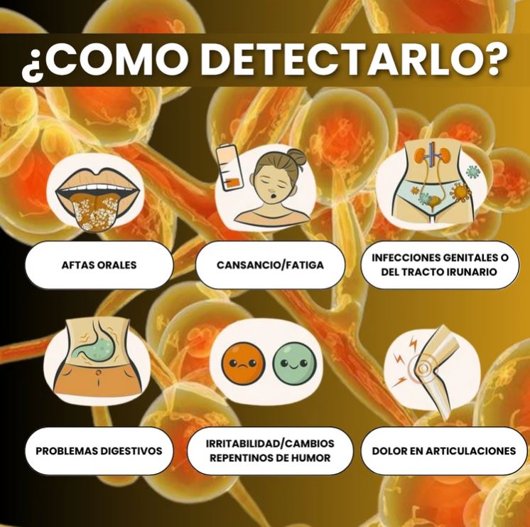 Cándida Cleanse MX™:Recupera tu energía desde adentro, dile adiós a la hinchazón