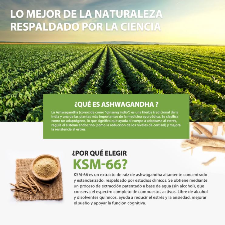 AshwaPower™:Duerme mejor, despierta con más vitalidad y foco cada día