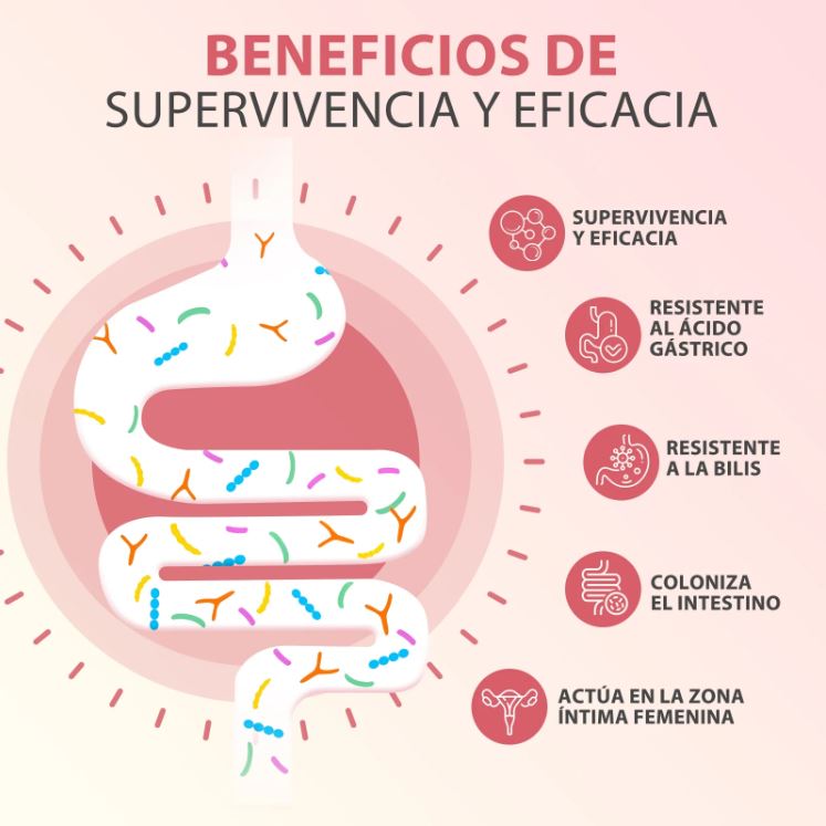 Windboss WomenCare™:Salud íntima y digestiva en una sola cápsula