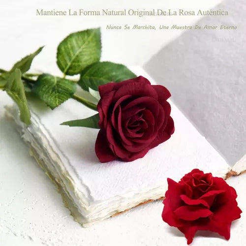 ROSA ETERNA con luces LED 🌹 Rojo Regalos Perfecto Para Ella