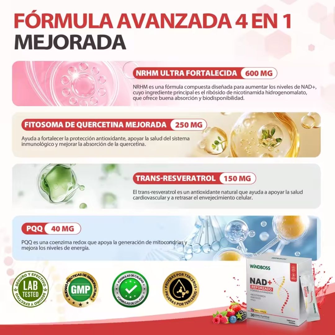 Windboss Suplemento líquido de NAD+ | Versión en sobres | 30 unidades | Parte de una rutina diaria para el bienestar y energía natural