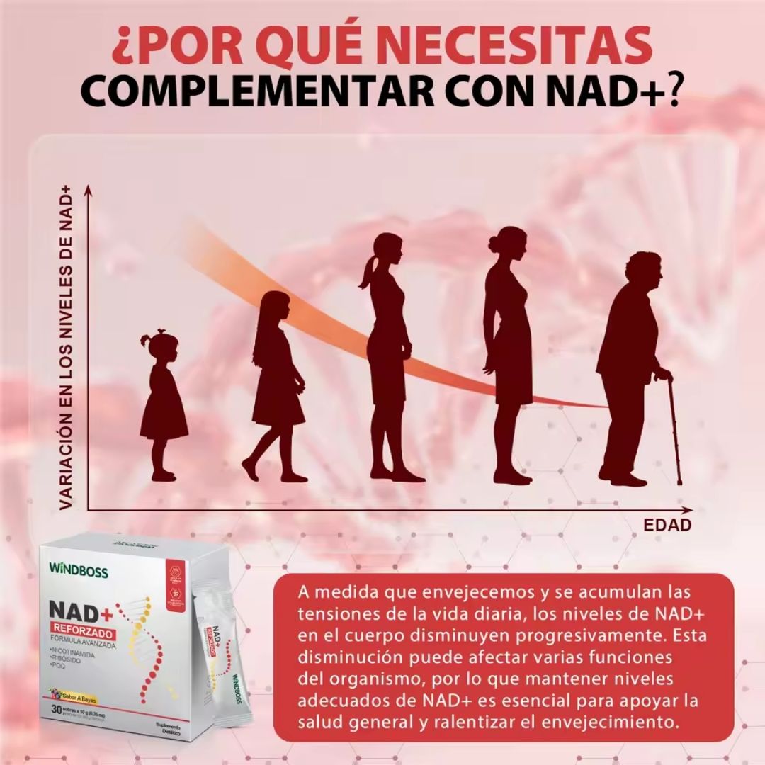 Windboss Suplemento líquido de NAD+ | Versión en sobres | 30 unidades | Parte de una rutina diaria para el bienestar y energía natural