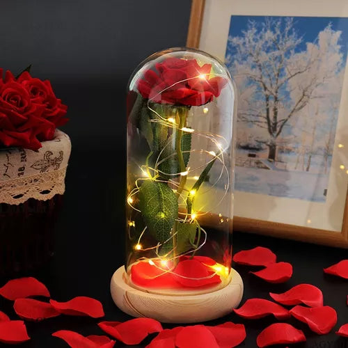 ROSA ETERNA con luces LED 🌹 Rojo Regalos Perfecto Para Ella