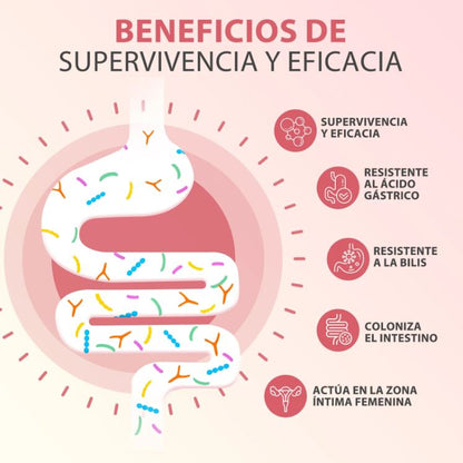 Windboss WomenCare™:Salud íntima y digestiva en una sola cápsula