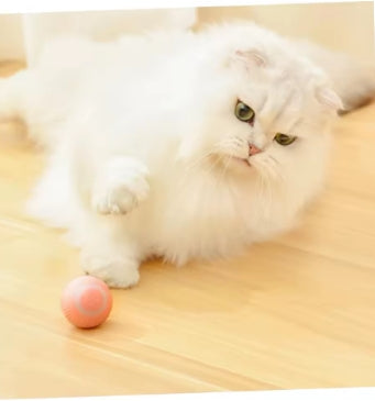 3 pelotas interactiva para gatos: rueda automáticamente, se divierte, se burla, juguete eléctrico para el ejercicio y el entretenimiento de los gatos: atrae a su mascota.