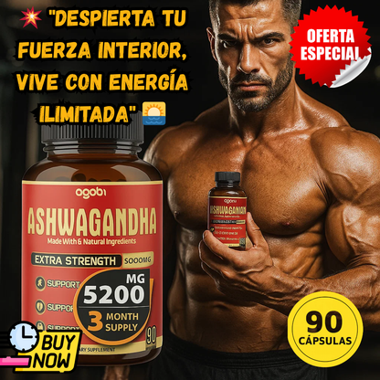 PowerZen:🔋Energía sostenida y enfoque total cada día💪